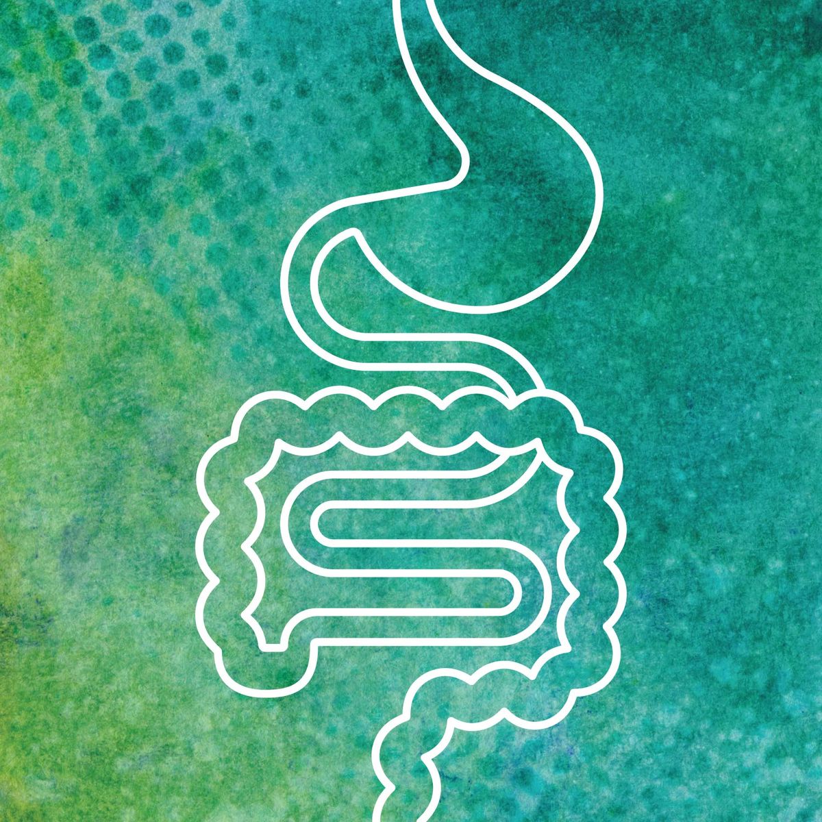 PIEZO2 Ion Channel Plays a Key Role in Gastrointestinal Motility and