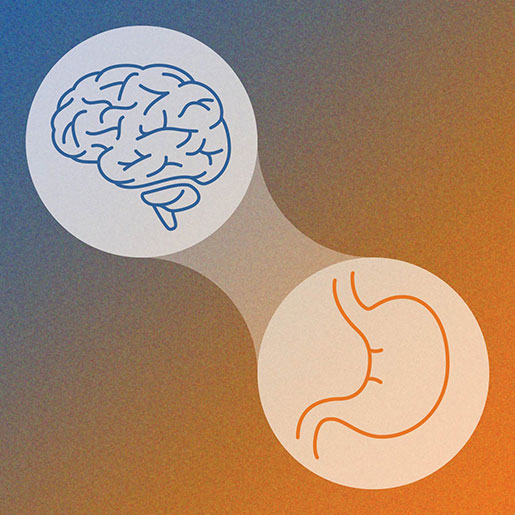 Brain gut connection 