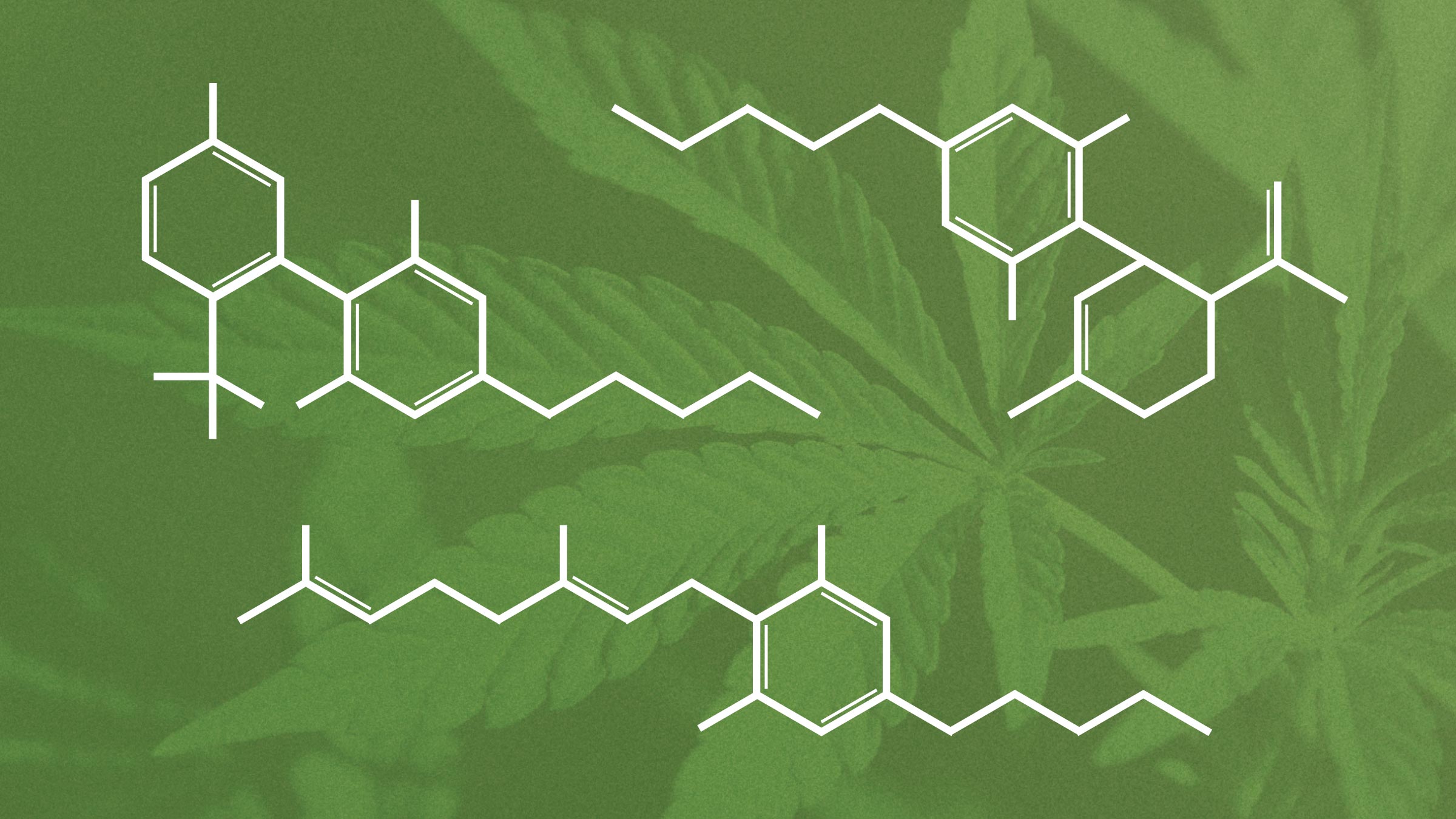 Cannabis Marijuana And Cannabinoids What You Need To Know Nccih