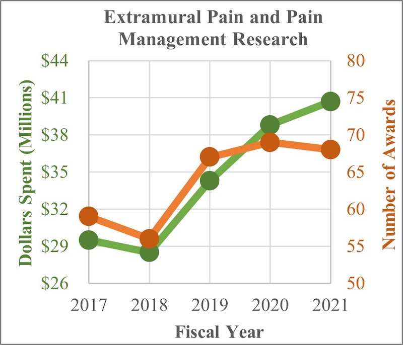 Extramural Pain and Pain Management Research
