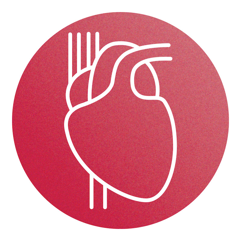 Human heart icon