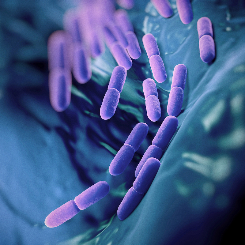 probiotics_ThinkstockPhotos