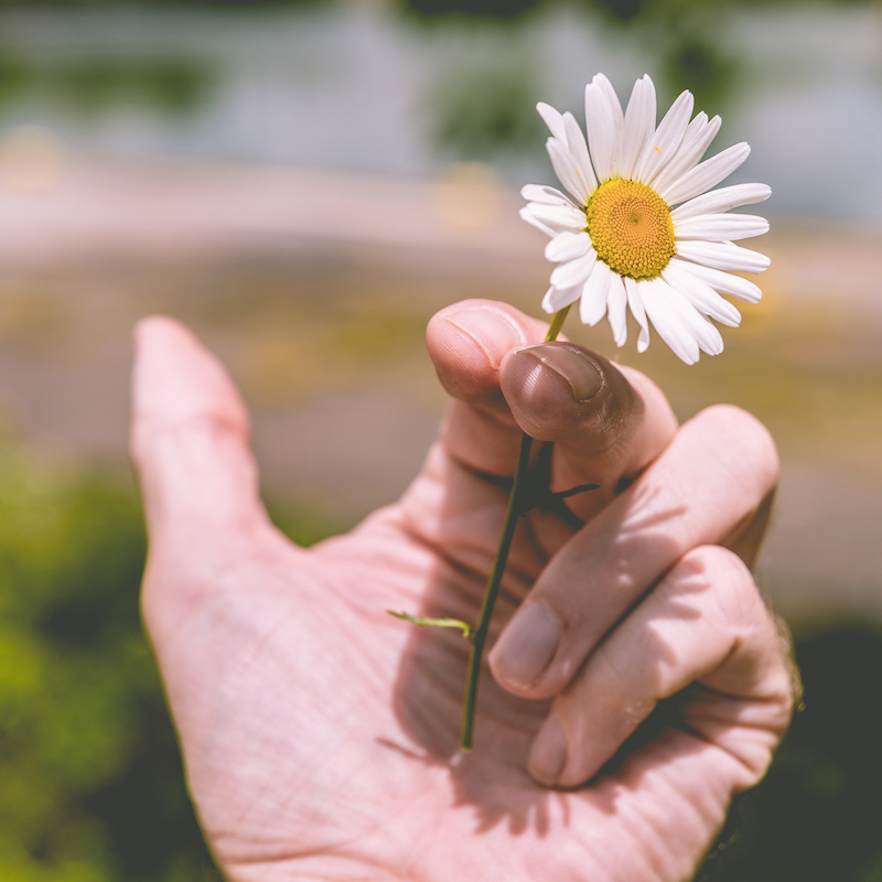 smoking cessation hand flower