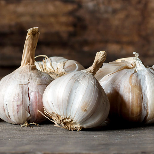 garlic （2023）