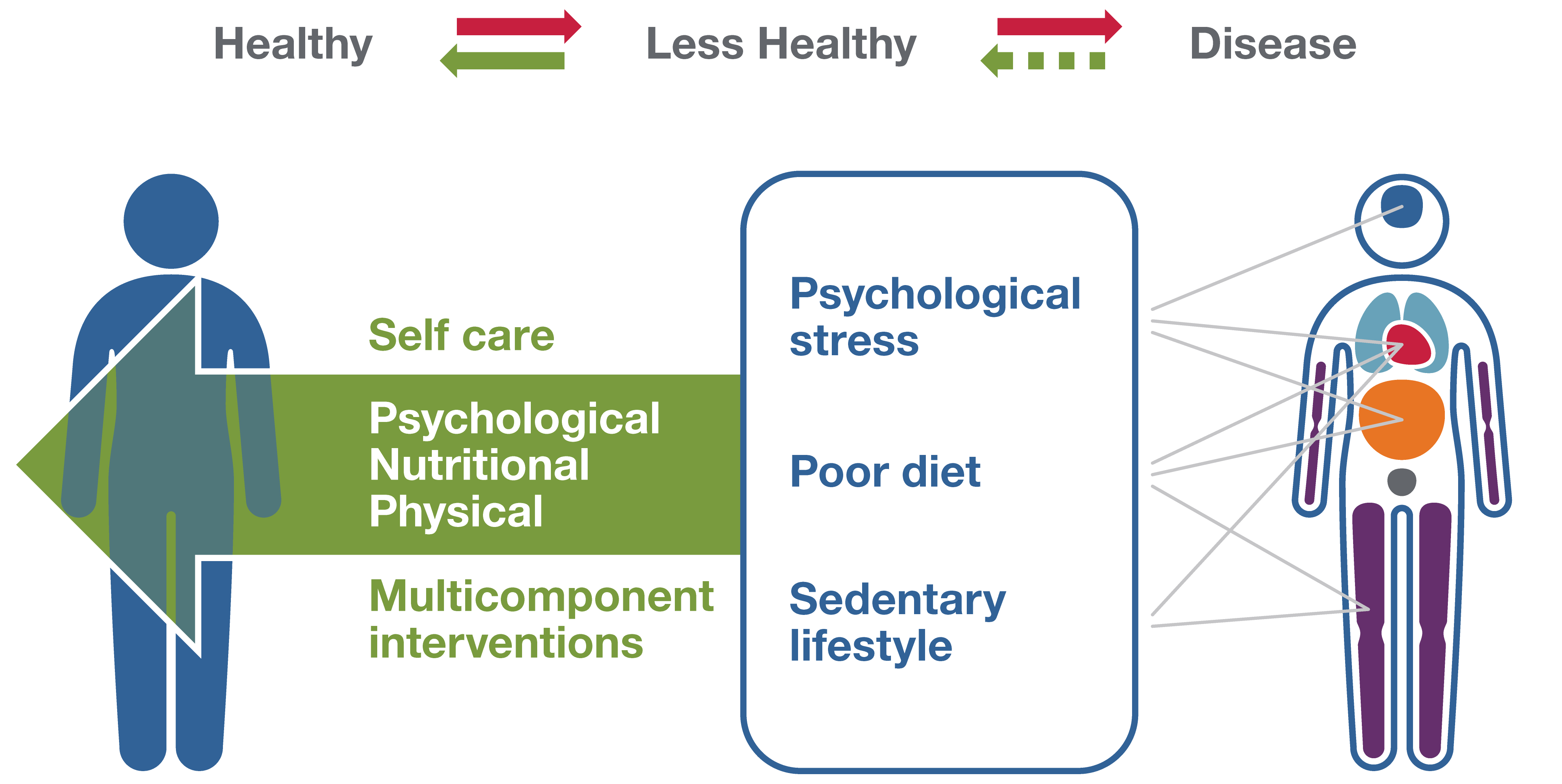 Integrated Approach to Multisystem Health Restoration