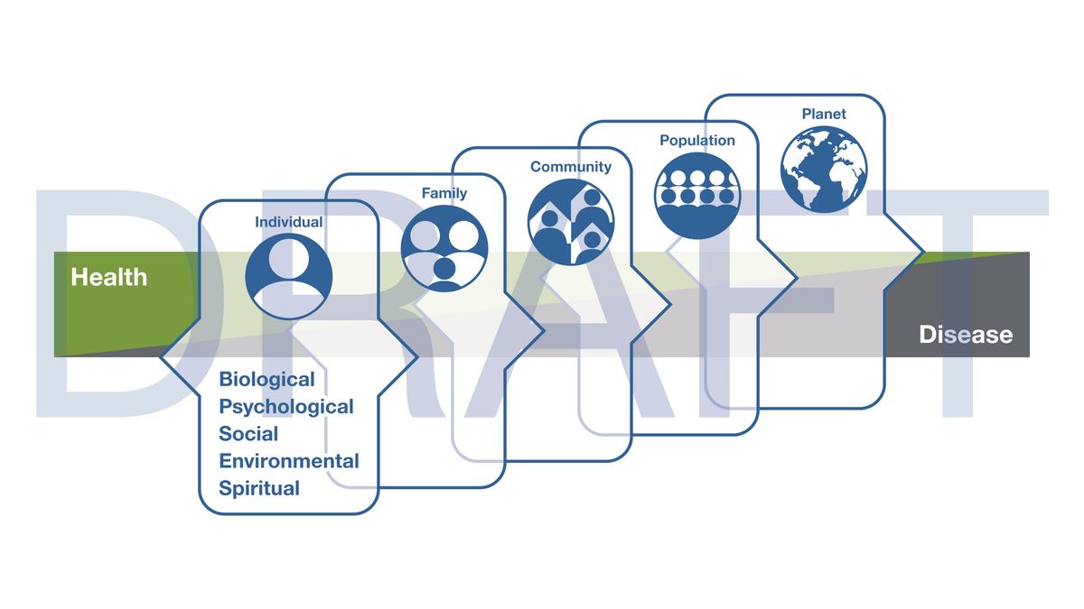 Multilevel Whole Person Health figure