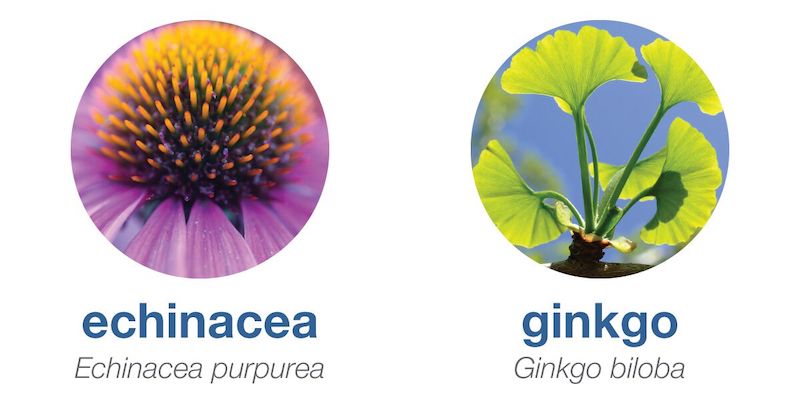 Nature Echinacea and Ginkgo