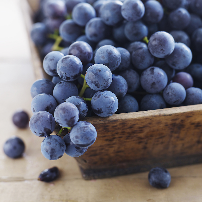 grapes_thinkstockphotos-83311979_square.jpg