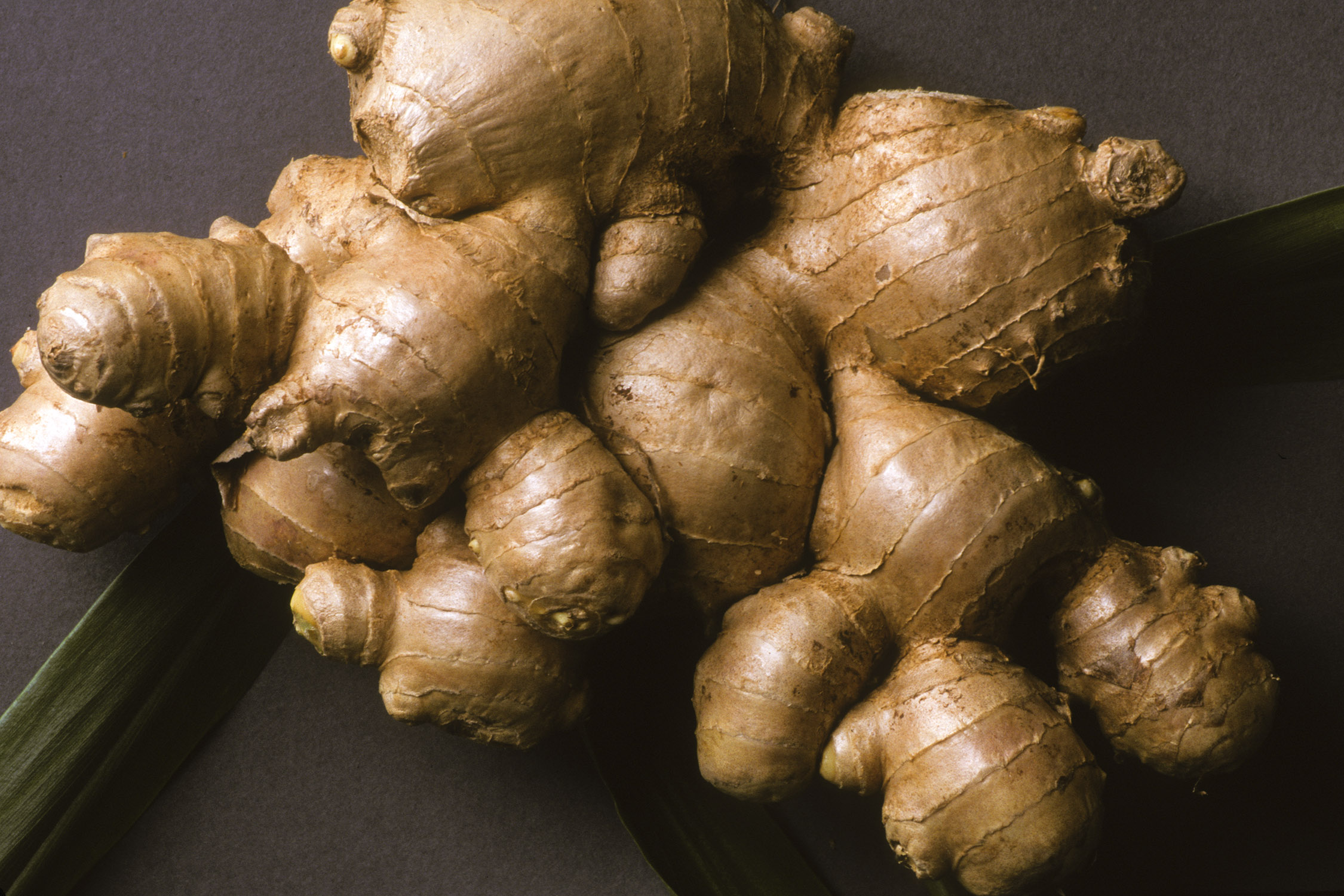 Ginger