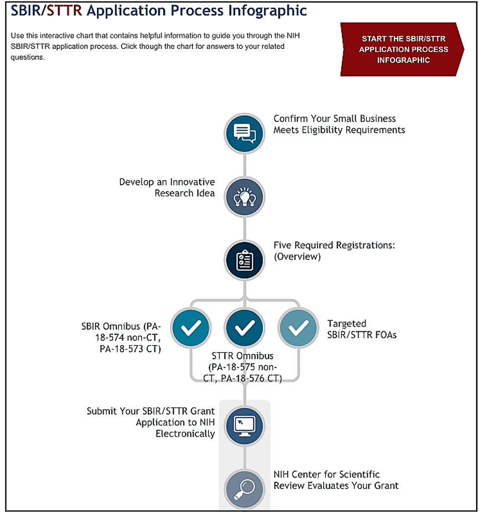 sbir sttr application process