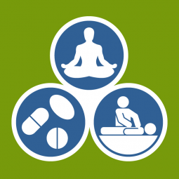 Icons of wellness: meditation, pills, spinal manipulation