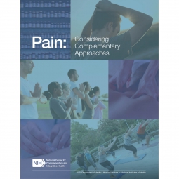 PAIN Considering Complementary Approaches