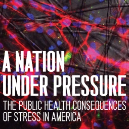 A Nation Under Pressure: The Public Health Consequences of Stress in America