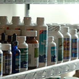 Picture of medication bottles.
