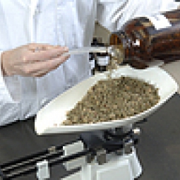 Herbalist weighing dried herbs.