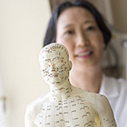 A close up of an acupuncture model with a docotor in the background.