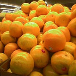 Grapefruit