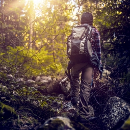 Hiking in the woods