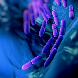 Illustration of probiotics