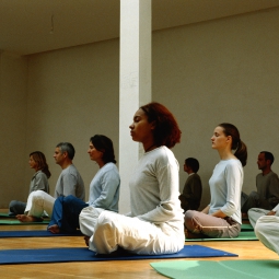 People participating in a yoga class.