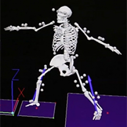 A computer rendering of a person's bones while doing yoga.