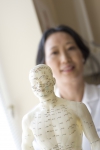 Doctor displays a model of acupuncture points on the body.