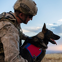 Male military service member in uniform with service dog