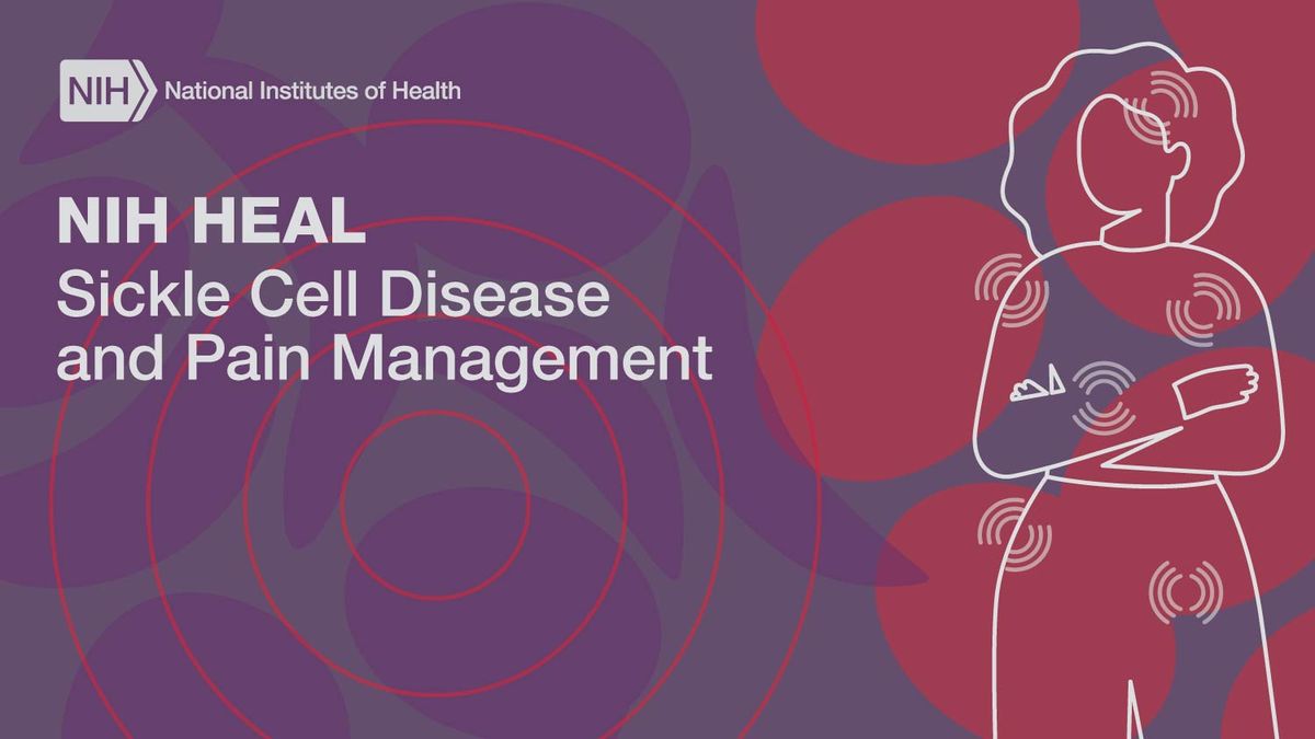 Funding Opportunities For Research On Sickle Cell Disease Pain ...