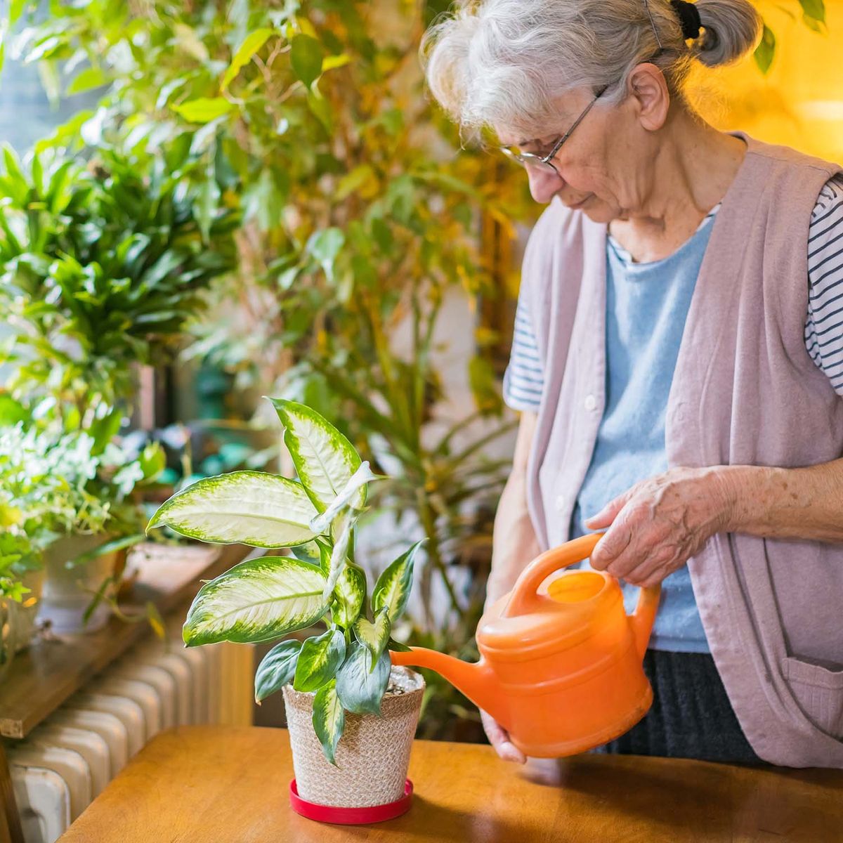 Older woman watering plants