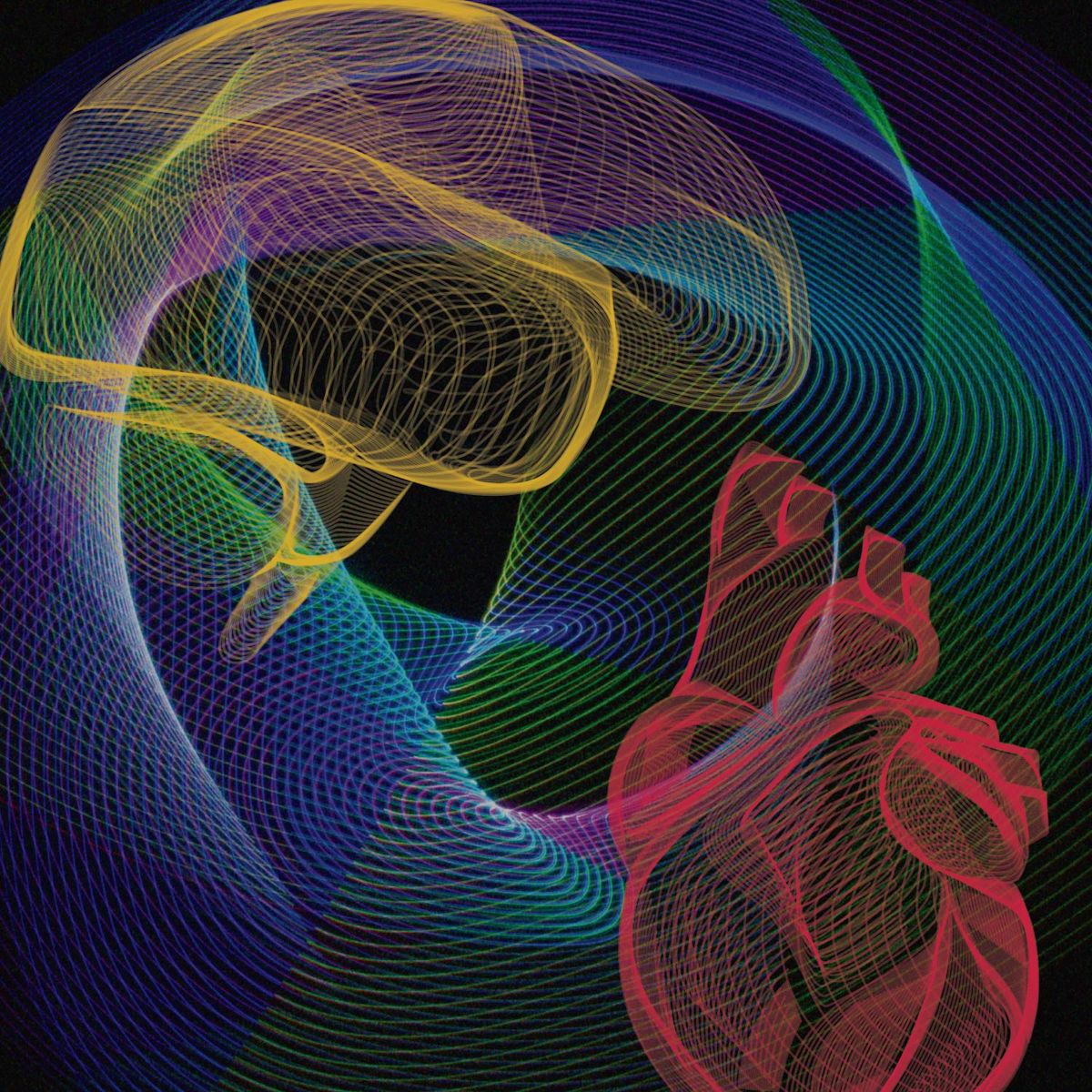 Novel Insights Into Heart-Brain Interactions and Neurobiological Resilience